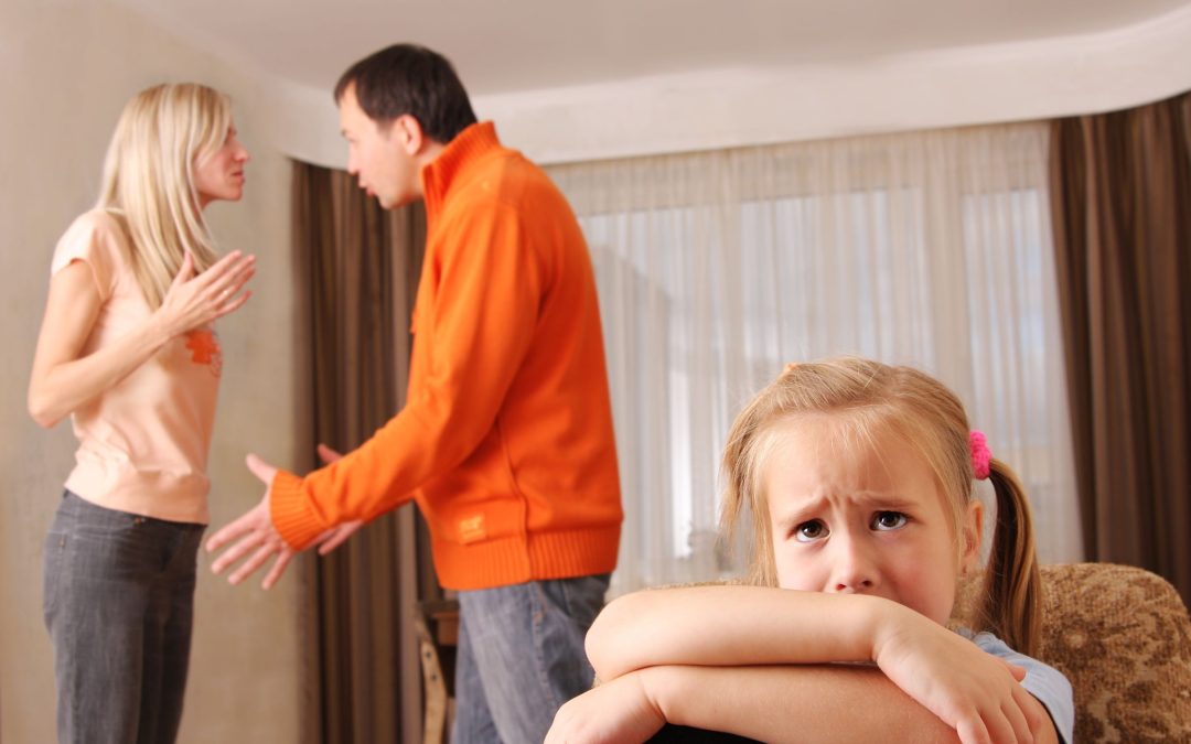 Child Custody Attorney in Tampa, FL: Navigating the Complex Waters of Custody Battles