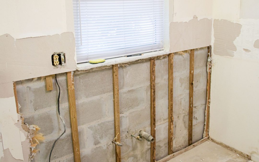 Battling Mold: Effective Mold Removal in Saunders County, NE