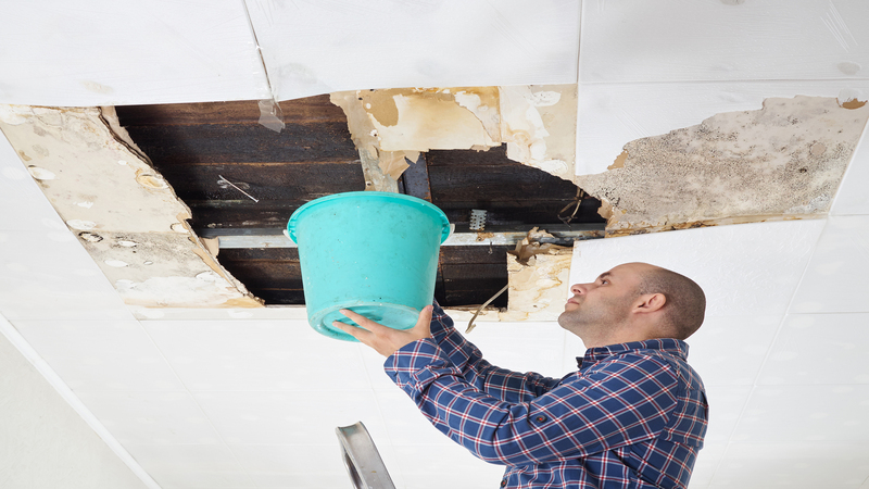 A Comprehensive Guide to Flood And Water Damage Restoration in Council Bluffs IA