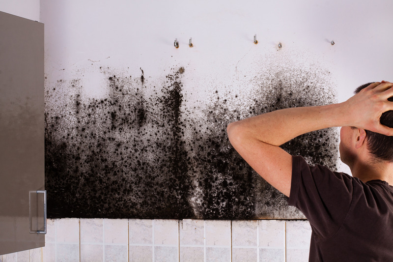 Protect your home with expert mold removal in Council Bluffs, IA.