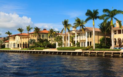 Solve Storm Damage Fast With Expert Tree Removal Tampa FL Solutions