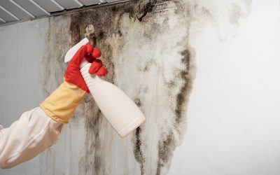 Mistakes to Avoid When Seeking Water Damage Restoration Murrieta CA Solutions