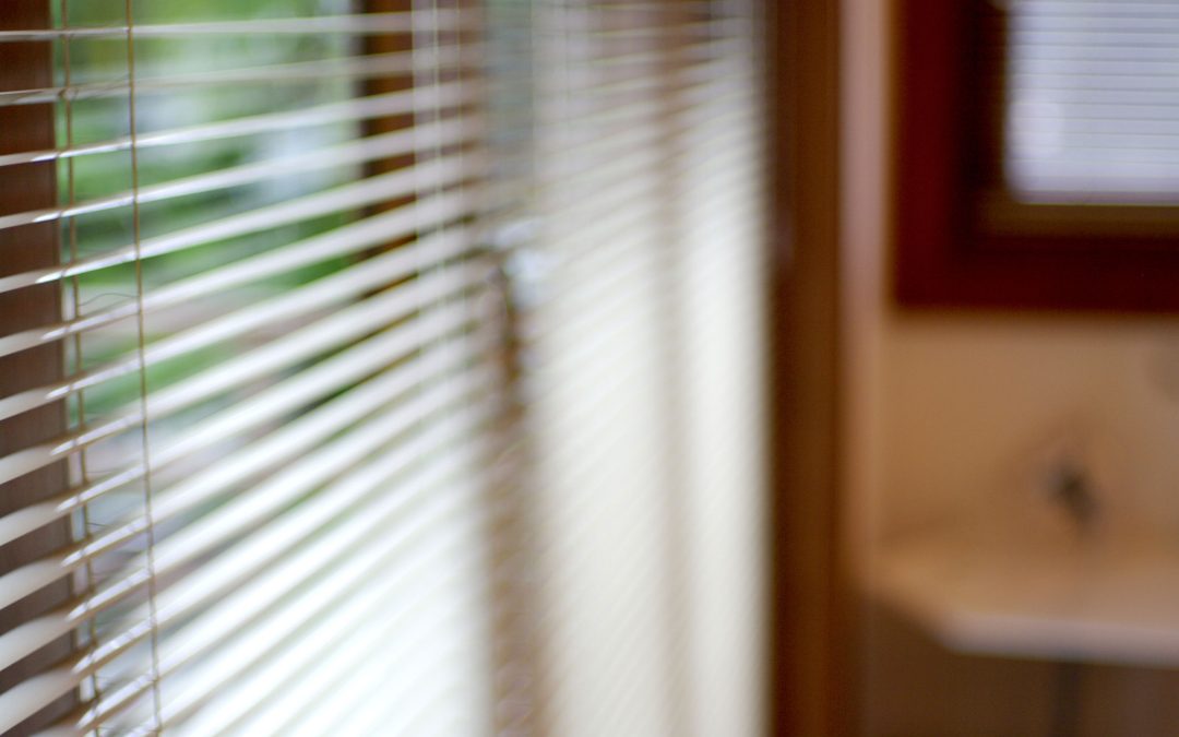 Transform Your Space with Quality Blinds in Tampa, FL