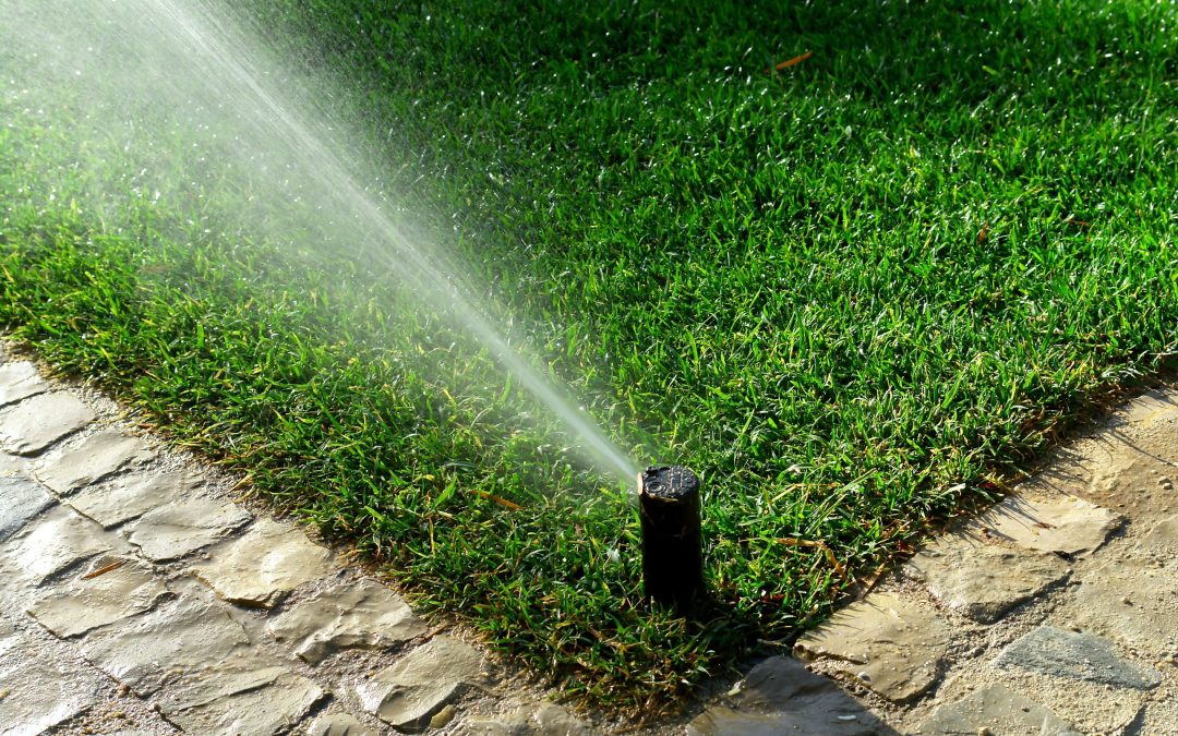 Efficient Solutions for Lawn Sprinkler Repair in Austin: Ensuring Your Landscape Thrives