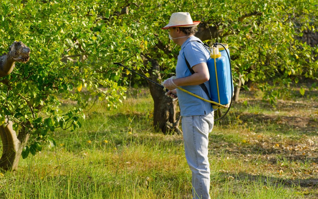 A Modern Approach to Crop Care and Increased Productivity: Agriculture Drone Spraying in Bloomington