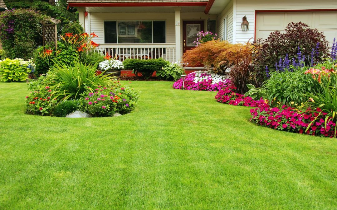 Transform Your Outdoor Space: The Advantages of Home Turf Installation in Houston