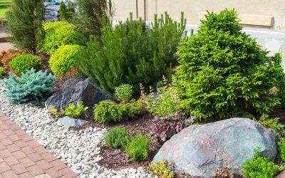 Springfield MO Landscape Design: Crafting Beautiful Outdoor Spaces