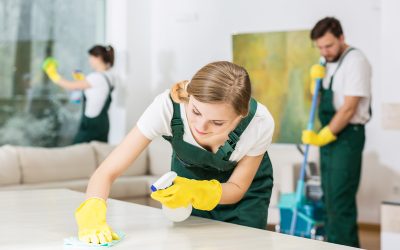 Why Choosing a Maid Cleaning Service Highlands Ranch CO Improves Your Family Wellness