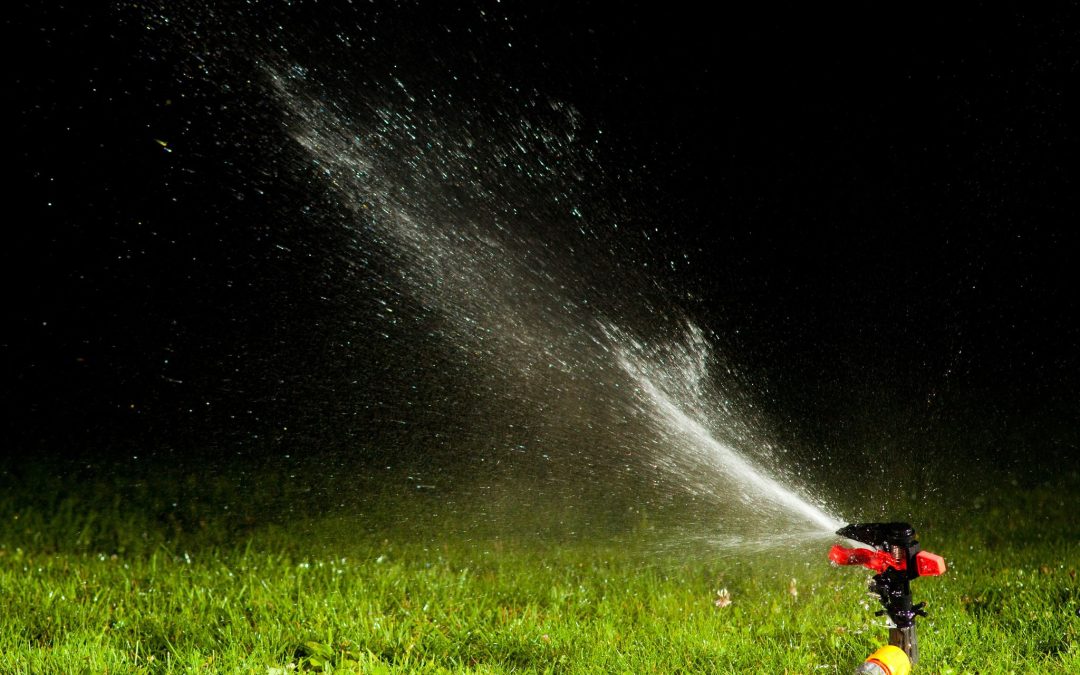 Save Water and Money With Expert Sprinkler Repair Austin Homeowners Trust Most