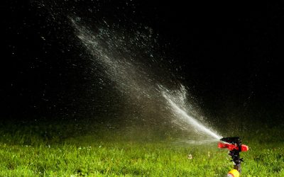 Save Water and Money With Expert Sprinkler Repair Austin Homeowners Trust Most