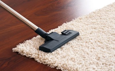 Allergy Relief Made Simple with Carpet Cleaning West Palm Beach Solutions That Last