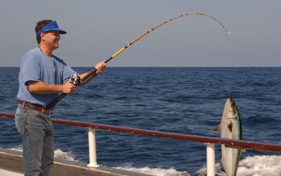 Experience Unforgettable Ocean Adventures with a Fishing Charter Boat in Marathon, FL Guide