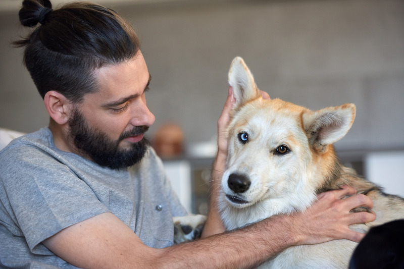 Enhance Your Dogs Wellbeing With StressFree Dog Grooming Wisconsin Rapids WI Solutions