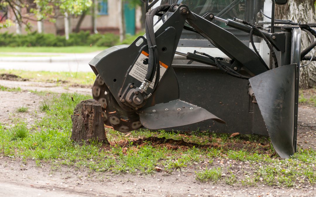 Find Durable Equipment Solutions Through Tractor Dealership Monson Center in Your Area