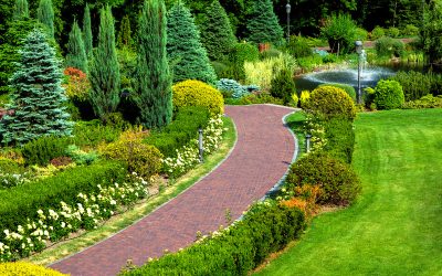 Why Landscaping Barrington IL Is Essential for Beautiful and Functional Outdoor Living