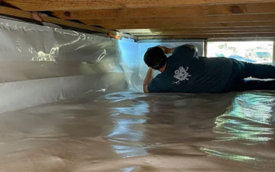 Learn how to get rid of mold in my crawl space Arkansas with safe removal tips