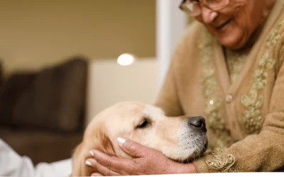 What Families Should Know About In-Home Hospice Care Near Minneapolis, MN