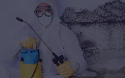 Reduce Moisture and Mold Risks With Crawl Space Encapsulation in Senoia, GA Homeowners Trust
