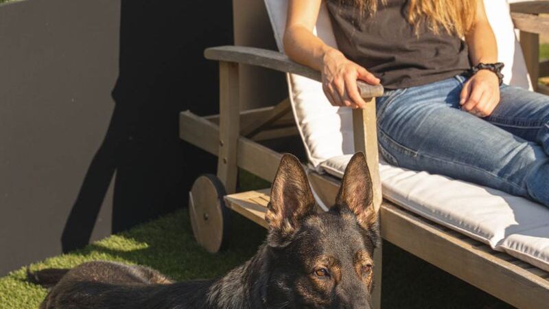 ezgif-8befc1e8797387