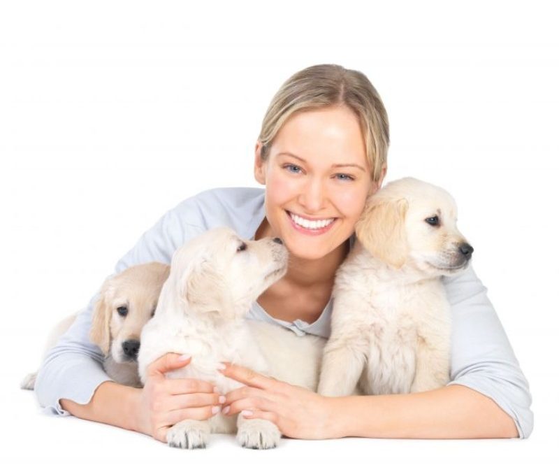 In-Home Pet Care Services Keep Pets Happy and Stress Free at Home