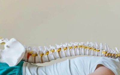 How Chiropractic Care Supports Natural Back Pain Relief Over Time