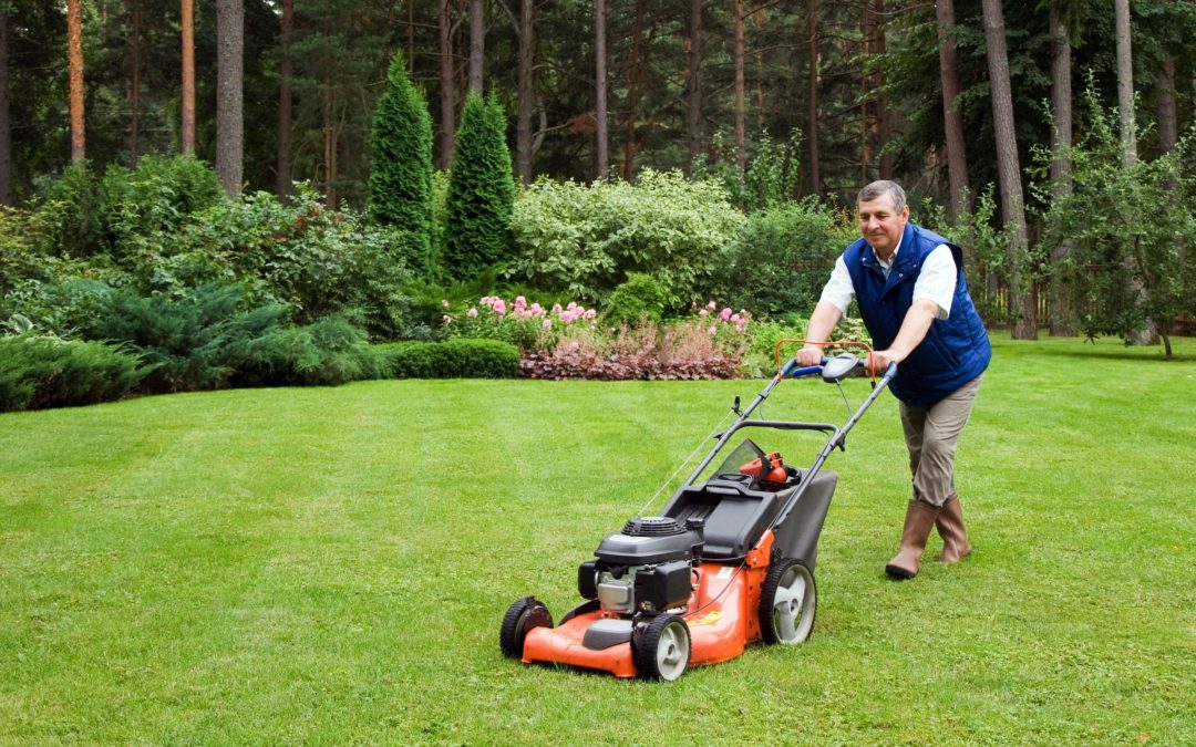 Improve Your Business Image with a Commercial Lawn Care Company Maple Grove Service