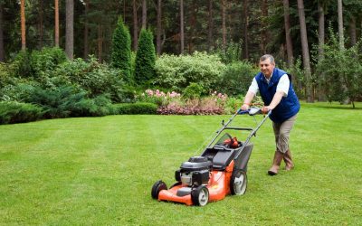 Improve Your Business Image with a Commercial Lawn Care Company Maple Grove Service