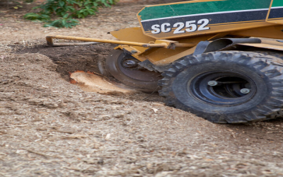 Brush Mulching Hephzibah, GA: Methods for Efficient and Eco-Friendly Land Clearing