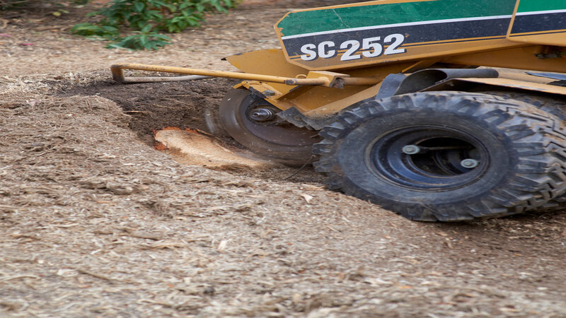 ezgif-4af26fc6b50358ea