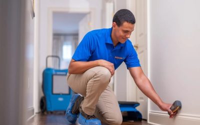 Protect Your Home From Costly Damage With Water Mitigation in Loveland, CO, Experts