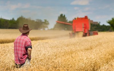 Reduce Farm Clutter with Agricultural Waste Removal Castle Rock, CO Services