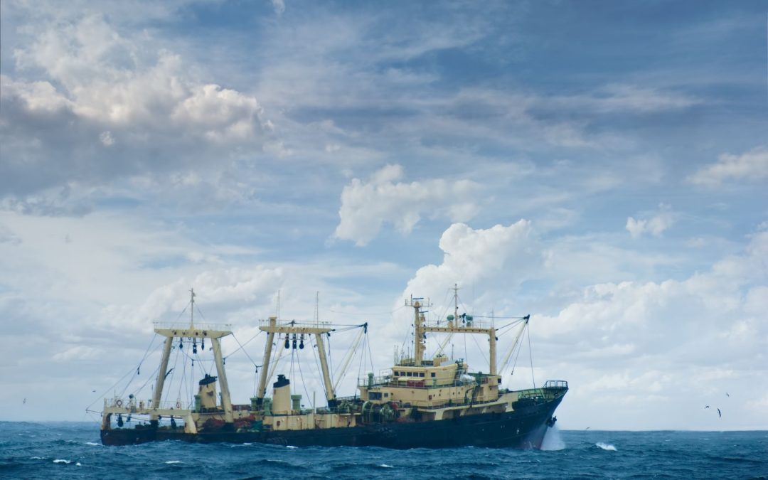 Why the Over-The-River Air Show, Tri Cities, WA, Is a Must-See Event for Aviation Fans