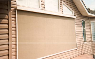 Improve Energy Efficiency in Offices with Commercial Window Roller Shades Arkansas Business Solutions