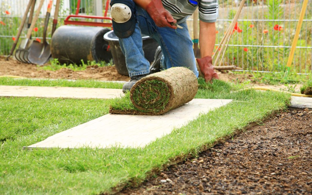 Transform Your Lawn With Fake Turf Chandler, AZ Solutions for Easy Maintenance